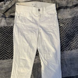 Gibson altimeter pants EUC